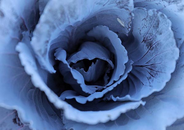 A bite of Belt and Road