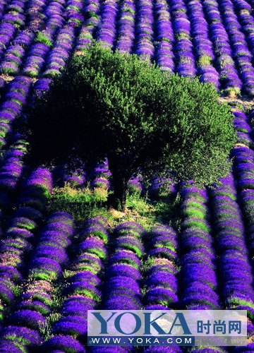 愛美必須要去 世界6大美容靈修地