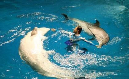 親子游：中國最好玩的六大海洋世界