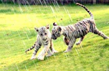 同歡共樂的天堂 國內親子游景點賞析