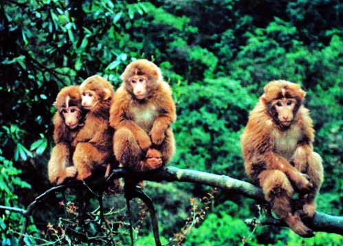 同歡共樂的天堂 國內親子游景點賞析