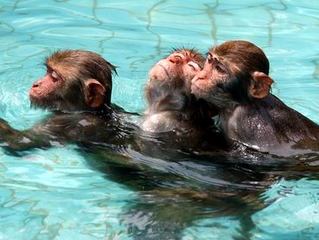 黃金周將至找個地方玩 蜜月游or親子游推薦(圖)