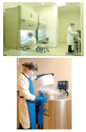 Banking on stem cells