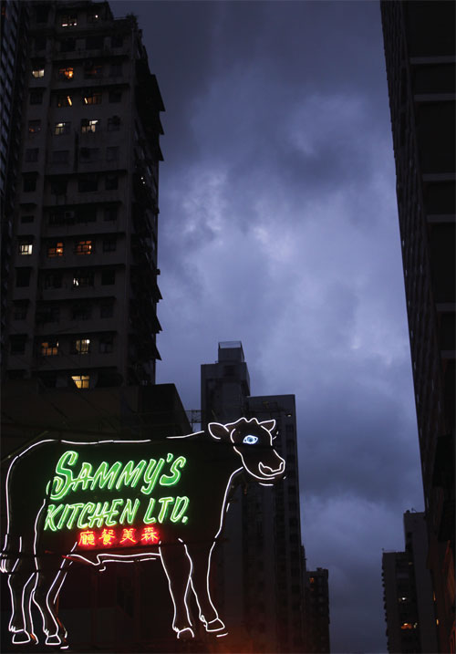 Greener pastures for the neon cow