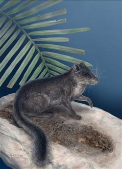 “絕跡”1100萬年物種驚現老撾