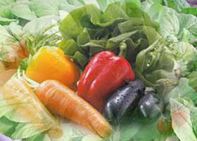 研究稱：兒童愛吃肉是遺傳 吃蔬菜靠培養