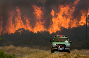 歐美百人死于高溫 用電緊張數千牛羊喪命