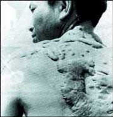 核危機秘聞：當人類與核戰幽靈擦肩而過