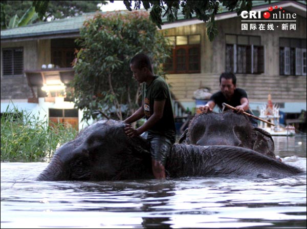 多年不遇洪水肆虐泰國 殃及古跡(組圖)