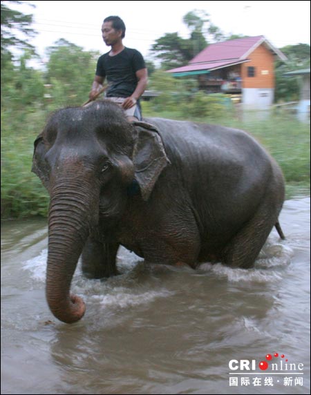 多年不遇洪水肆虐泰國 殃及古跡(組圖)