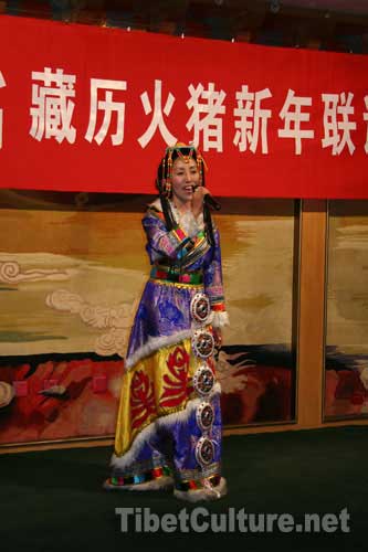 愛藏人士歡聚一堂 共迎藏歷火豬新年