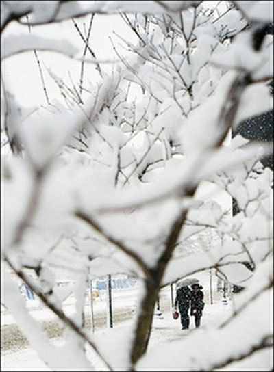 民生百態(tài)：美國中西部暴風雪下的快樂與痛苦