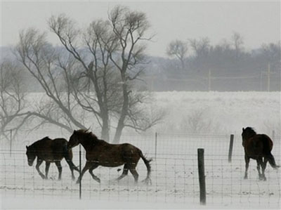 民生百態：美國中西部暴風雪下的快樂與痛苦