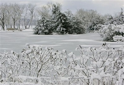 民生百態：美國中西部暴風雪下的快樂與痛苦