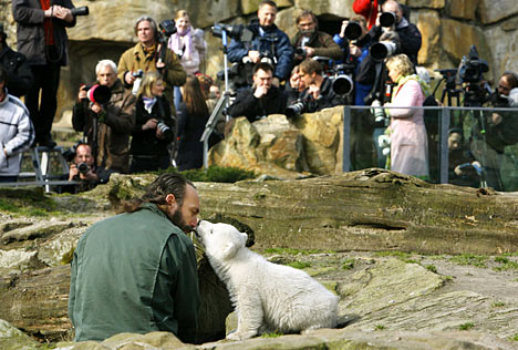 都是北極熊惹的禍？大熊貓嫣嫣德國(guó)猝死 