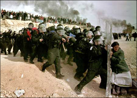 第91屆普利策新聞獎獲獎名單17日公布（名單附后）