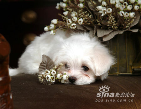 生氣來最難哄的星座大排行