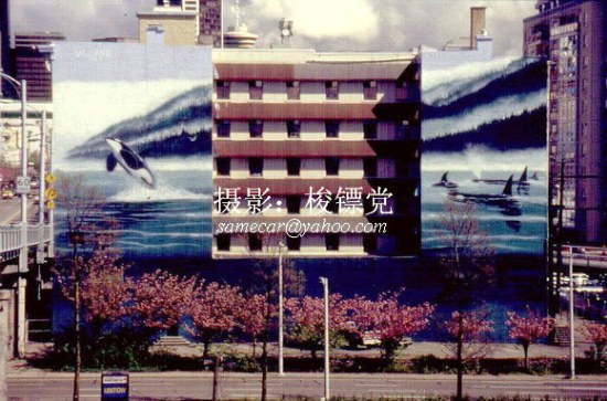 流落情感到街頭：近距離看北美街頭壁畫