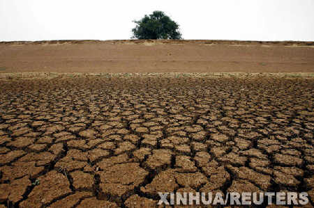 澳大利亞再遭大旱 當地農業遭受沉重打擊