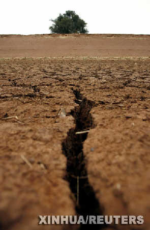 澳大利亞再遭大旱 當地農業遭受沉重打擊