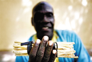 非洲人最愛用“樹枝”刷牙