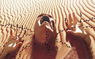 世界著名的恐怖景區(qū)