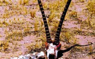 世界著名的恐怖景區