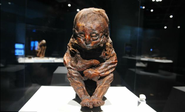 美國加州展出有6500年歷史的嬰兒木乃伊
