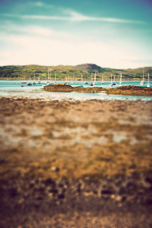 神奇！相機竟能照出小人國