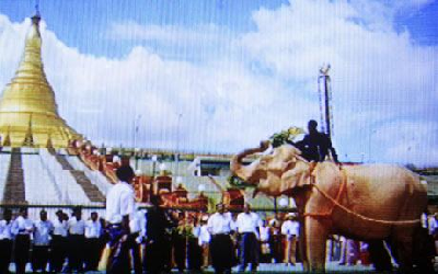 緬甸首都舉行大典迎接罕見白象 領導人給它灑香水