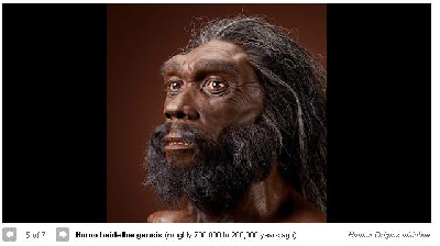 雷死人的人類祖先圖 看看你來自哪一款？