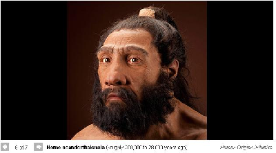 雷死人的人類祖先圖 看看你來自哪一款？