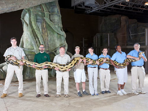 組圖：吉尼斯世界紀錄2011年版圖片精選