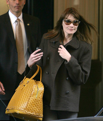 薩科齊惹民憤連累妻子 布呂尼喬裝上街為防身