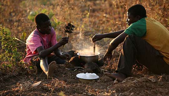 田鼠成非洲美食 串成“鼠串”沿街叫賣