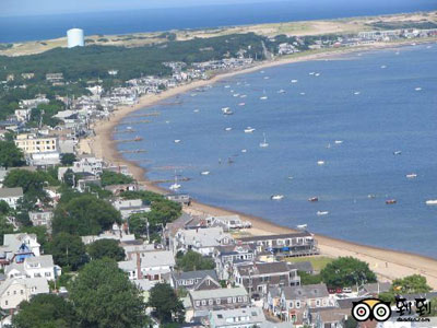 美海灘浴場附近驚現大白鯊 首次被裝上電子追蹤標簽