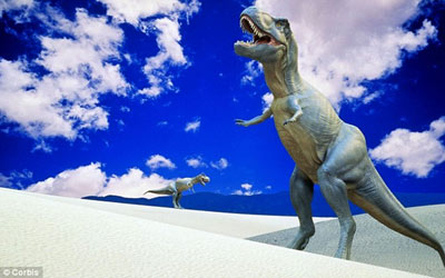 世界最大霸王龍骨架將被拍賣 售價或達(dá)480萬英鎊