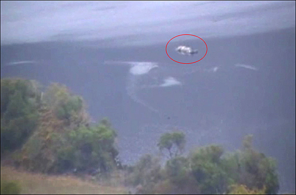 愛爾蘭基拉尼湖出現“水怪”(圖)