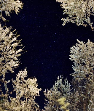 伊朗攝影師沙漠拍攝壯觀銀河系照片