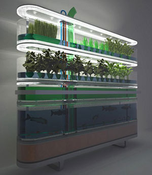 英開發未來環保廚房 內設農場包括“菜田、魚塘”