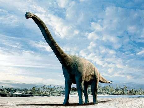 科學家提出新理論:有毒海藻造成恐龍滅絕