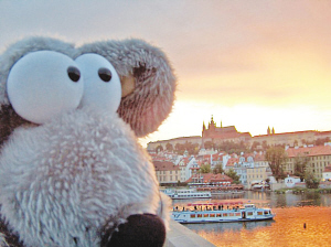 歐洲人不景氣時發(fā)“怪”財