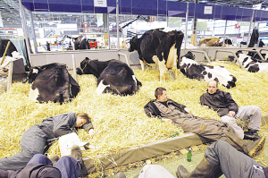 歐洲人不景氣時發(fā)“怪”財