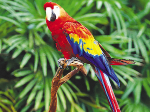 歐洲人不景氣時發(fā)“怪”財