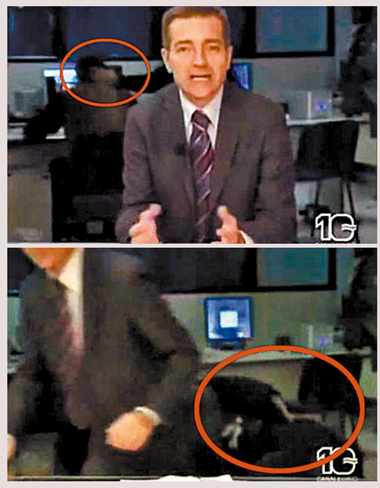 后臺(tái)工作人員大打出手 主持人驚慌逃離直播間