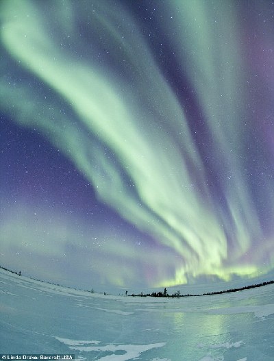 女?dāng)z影師不畏零下20度嚴(yán)寒 拍攝到絕美北極光