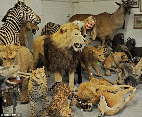 世界上最奇異的