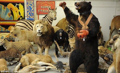 世界上最奇異的