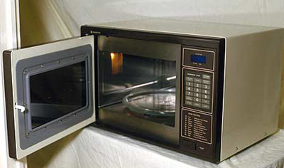 英虐貓事件:小貓連遭烤甩凍洗后幸運存活(圖)