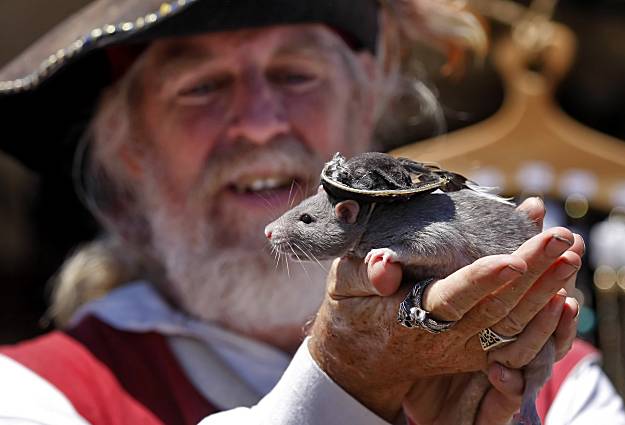 2300名“海盜”齊聚加利福尼亞 將破世界紀錄